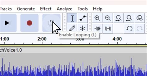 Image result for Audacity Loop Track