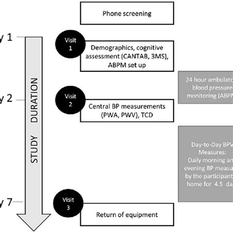 Image result for Using BP Tools EMV