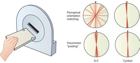 Image result for Dual Streaming Definition