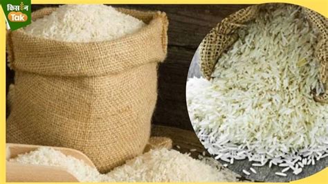 बासमती चावल के निर्यात में 15 फीसदी की बढ़ोतरी, अमेरिका सहित इन देशों ...
