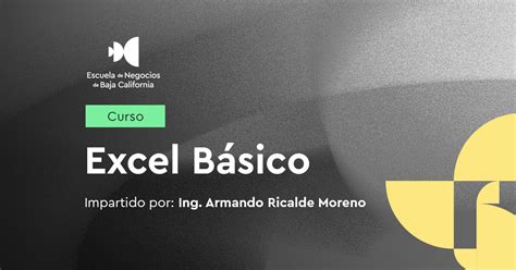 Image result for Excel Basic ES