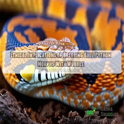 Ball Python Wobble 的图像结果