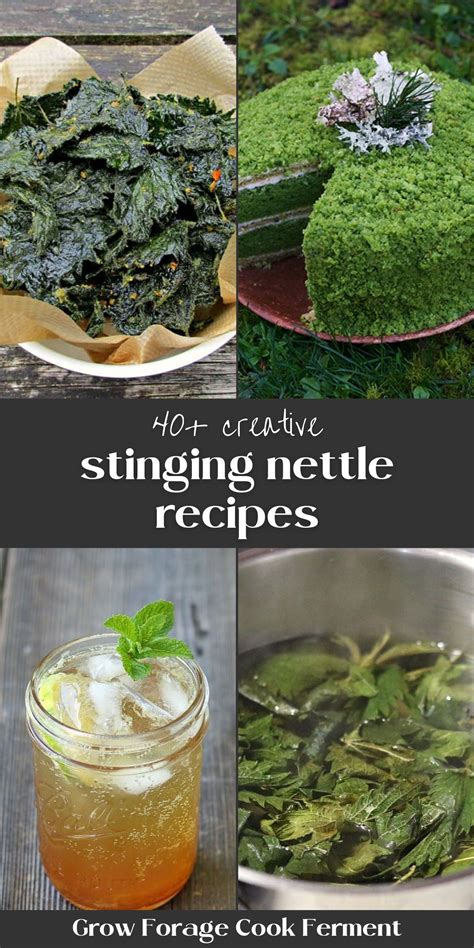 40 stinging nettle recipes without the sting – Artofit
