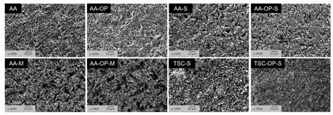 Enhancing Resin Cement Adhesion to Zirconia by Oxygen Plasma-Aided ...