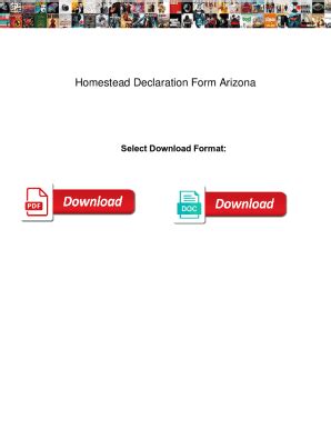 Arizona Homestead Declaration Form - Blank Fillable Template | Fill Out ...