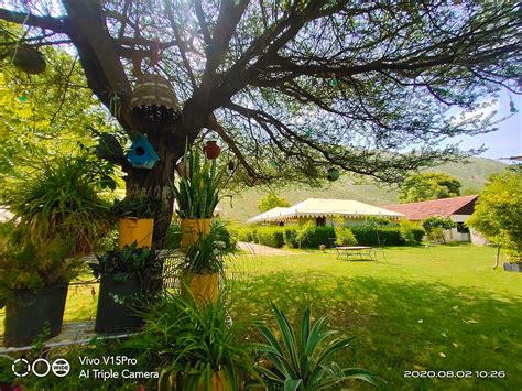 FOOTHILL PUSHKAR RESORT (Rajasthan) - Hotel Reviews, Photos, Rate ...