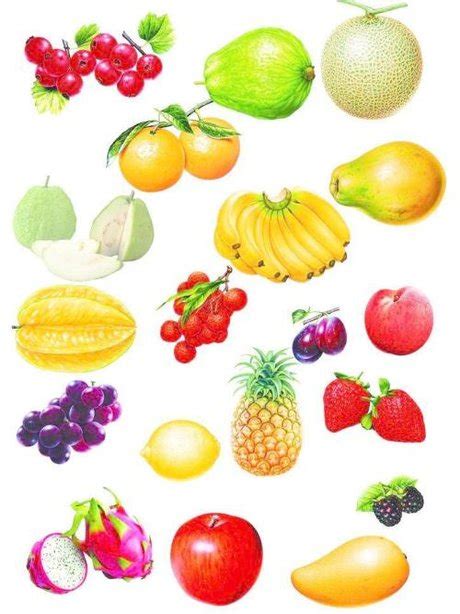 水果品种大全名字,1000种水果名称大全 - 伤感说说吧