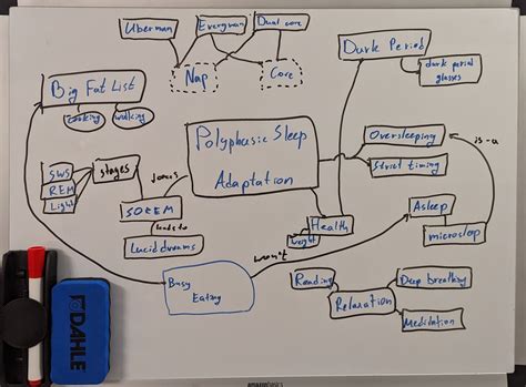 Polyphasic Sleep 的图像结果