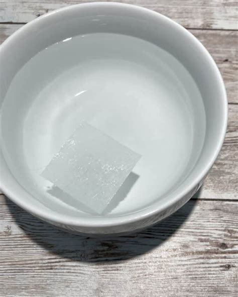 Image result for Paper Clip Experiment