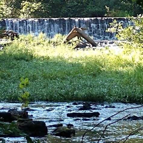 Tannehill Trade Days