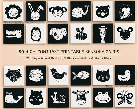 Animals high contrast baby cards in black and white etsy canada – Artofit