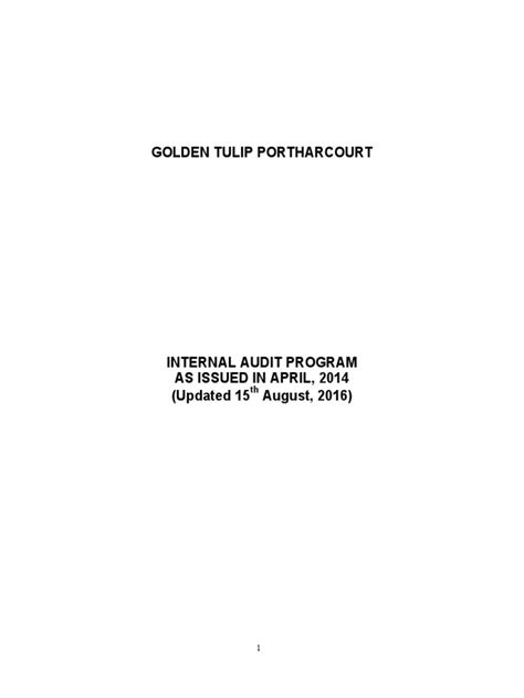 Audit Program 的图像结果