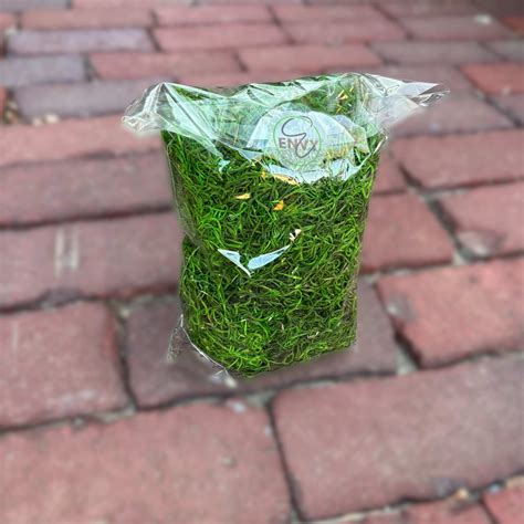 Spanish Moss - Natural - Entry Envy