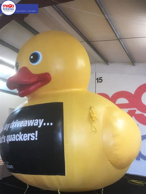 Image result for PVC Inflatable Animals