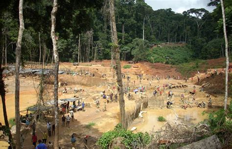 Mining and Deforestation An Analysis of Rural Lives and Livelihood of ...