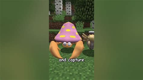 Image result for Popular Modpacks for Minecraft Java