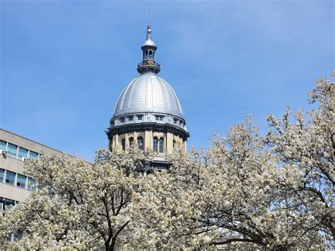 BidBuy - /view/login/login.xhtml