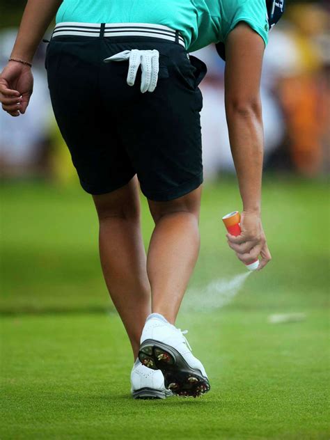 Why Does Windex Kill Bugs: Surprising Science Behind It - PlugChef