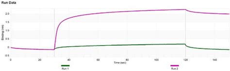 Anti-HDAC4 Antibody, clone 1C16 ZooMAb® Rabbit Monoclonal recombinant ...