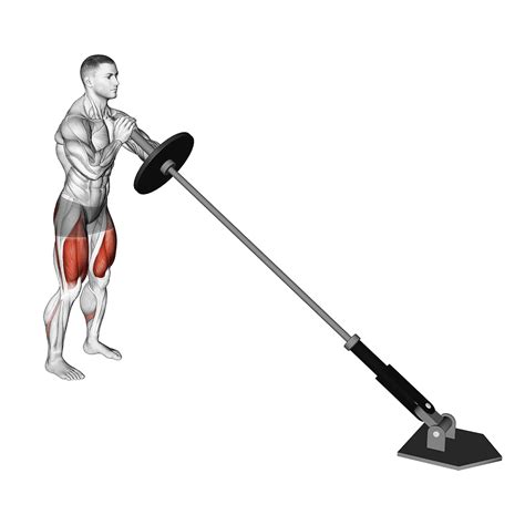 Reverse Hack Squat Machine: Benefits, Muscles Worked, and More - Inspire US