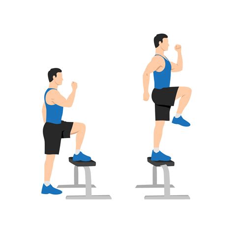 Man doing Step up with knee raises exercise. Flat vector illustration isolated on white ...