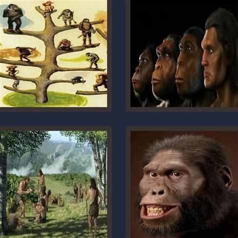 4 Pics 1 Word 8 Letters Answers - 4p1w.net