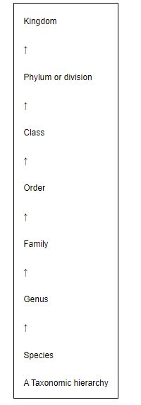 Illustrate the taxonomical hierarchy with suitable examples of a plant ...