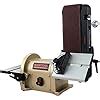 Buy BUCKTOOL BD4801 Bench Belt Sander and Disc Sander & Low Speed Anti ...