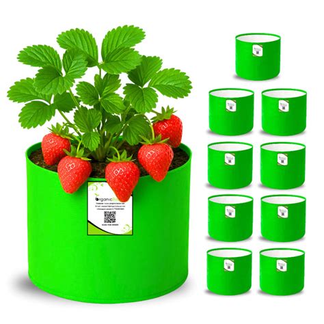 Buy Premium Quality Grow Bags Online for Home Garden - OrganicBazar ...
