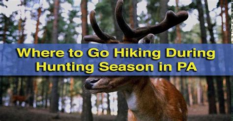 Where to Go Hiking During Hunting Season in Pennsylvania - Uncovering PA