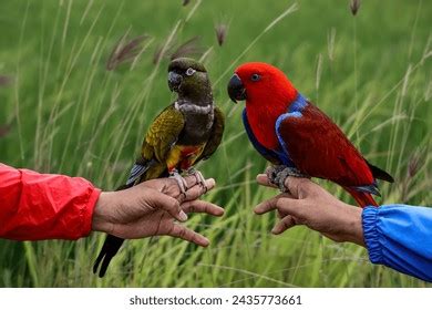 Image result for Data Visualization Tools Python Sample View vs Code