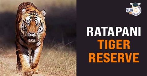 Madhya Pradesh gets 8th Tiger Reserve Ratapani