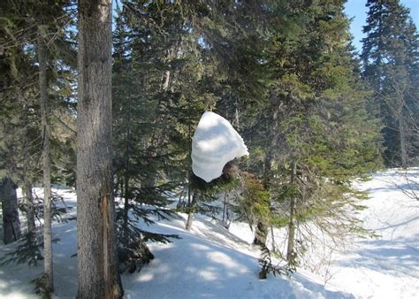 Okha Tourism (2023): Best of Okha, Russia - Tripadvisor