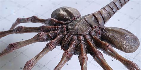 Image result for Alien Facehugger High Resolution Isolated