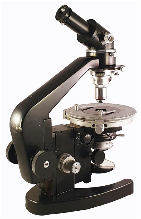 Image result for Video Microscope Play