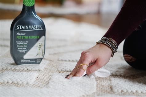 Keeping my Carpets Clean with Stainmaster Carpet Pet Stain Remover