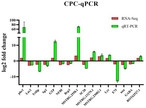 Transcriptome Analysis Reveals the Immunoregulation of Replacing ...