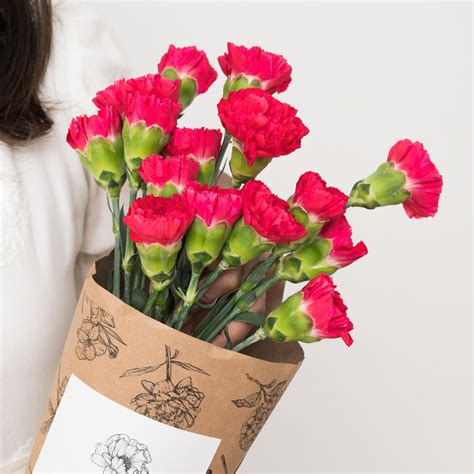 Subscribe to Cut Flowers - PREMIUM – The Flora