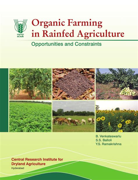 Sl Chang Thailand Official Green Herb Turmeric Grass Paste 50g Anti ...