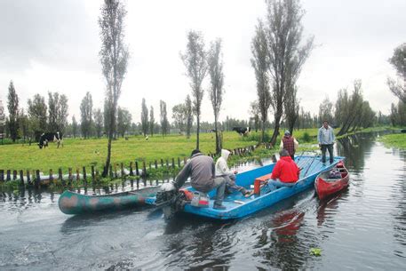 Immortal, yet going extinct