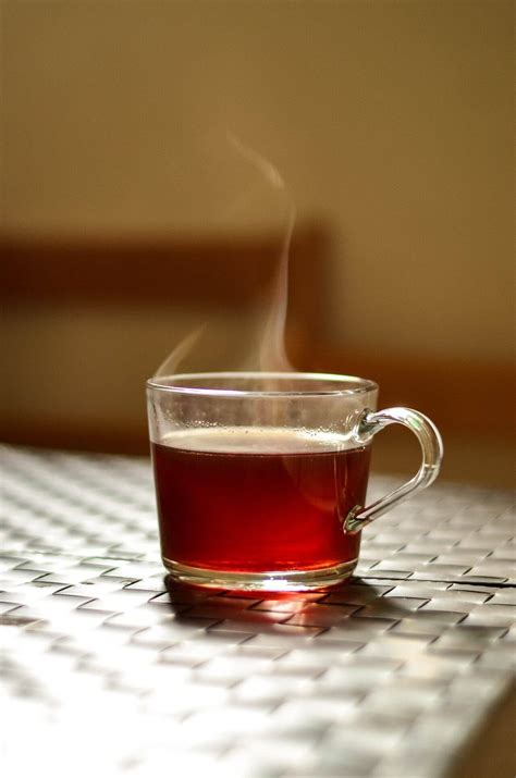 6 Amazing Health Benefits of Barley Tea | Signos