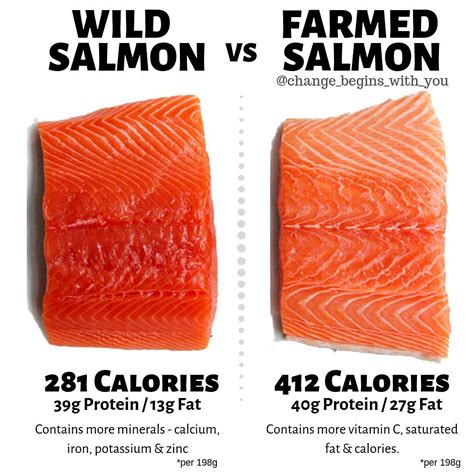 5 Oz Salmon Calories