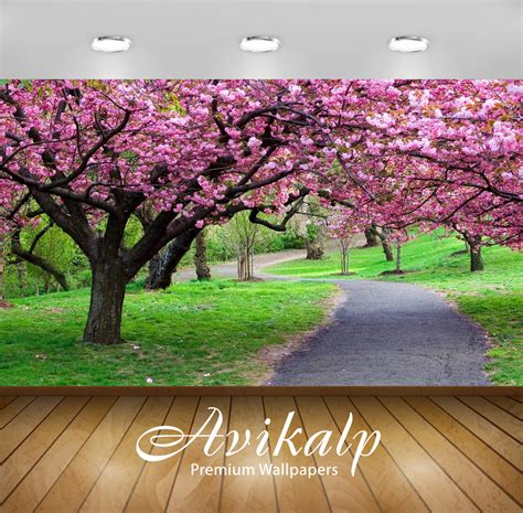 Avikalp Exclusive Awi3370 Pink Flowers Trees Beautiful Scenery Full HD ...