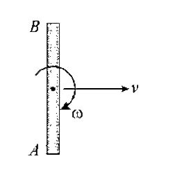 A uniform rod AB of length l rotating with an angular velocity `omega ...
