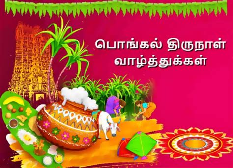 Pongal Wishes Messages Greetings பொங்கல் Quotes With Images