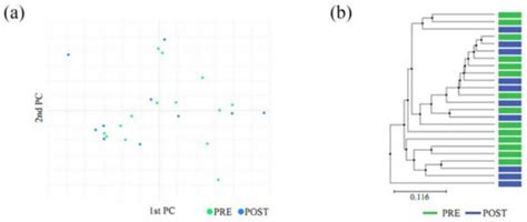 Effect of a Novel Handheld Photobiomodulation Therapy Device in the ...