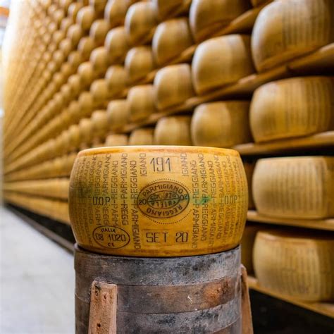 Parmigiano Reggiano Wheel