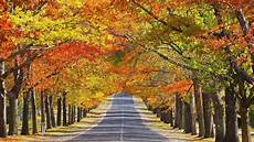 Autumn Season Background by Beautiful Autumn Season Wallpapers Hd Wallpapers Autumn Season Background