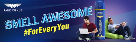 Buy Park Avenue Good Morning Fragrance Body Spray for Men, 220/250 ml ...