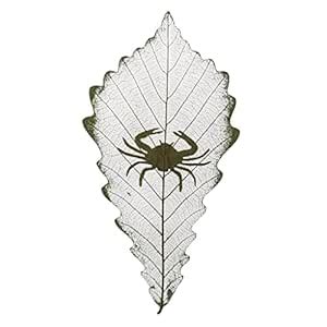 MYADDICTION Constellations Design Leaf Carving Art Natural Real Dried ...
